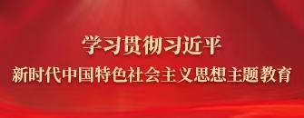 學(xué)習(xí)貫徹習(xí)近平新時(shí)代中國特色社會(huì)主義思想主題教育